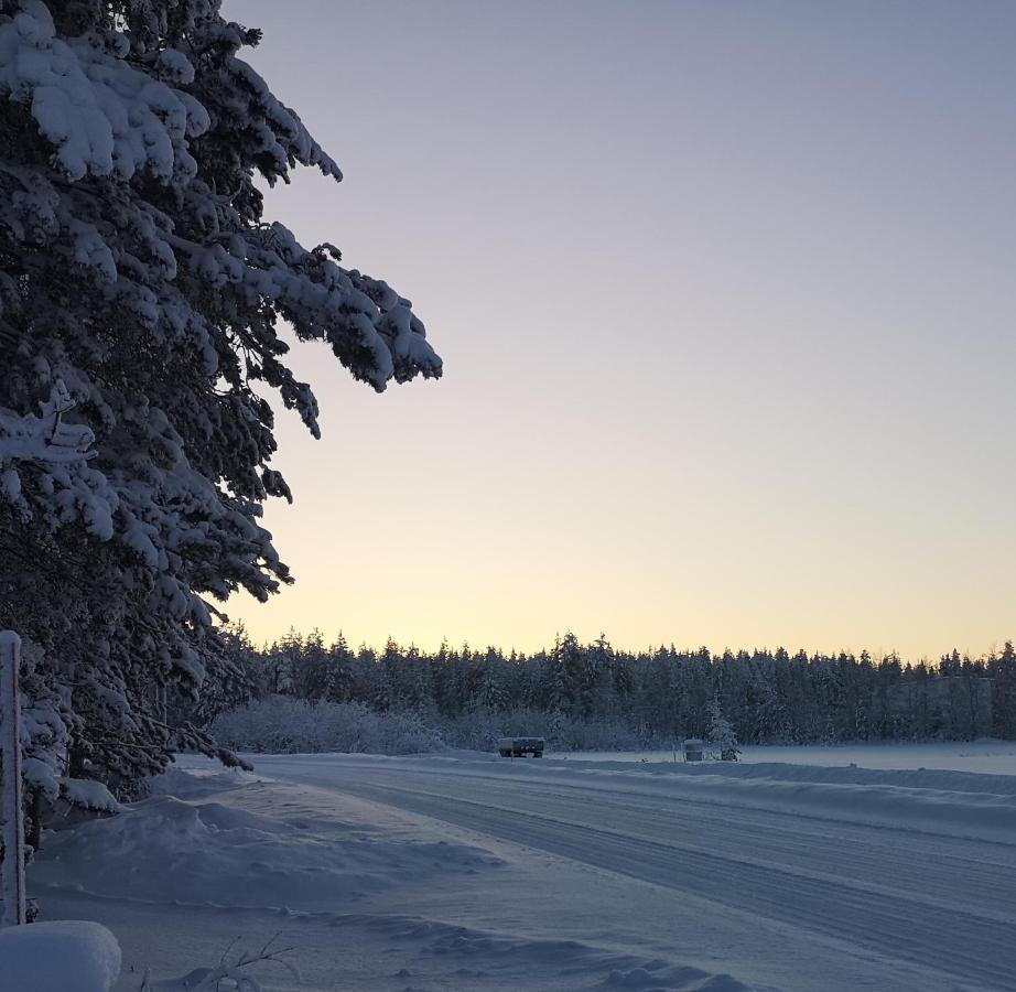 Cosy, Homely House With A Large Courtyard Saarenkylä Extérieur photo